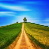 Como combatir la depresión y la ansiedad – Yoga un tratamiento natural.