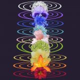 Opiniones sobre el despertar de los Chakras – Aprender solo o con un maestro