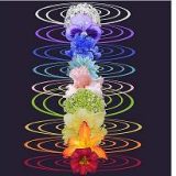 Los siete chakras