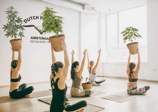 Ejercicios de yoga: lo que el cannabis tiene en común con el yoga